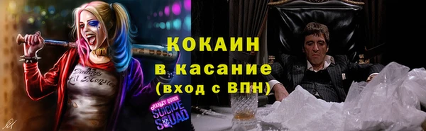 гашик Снежинск