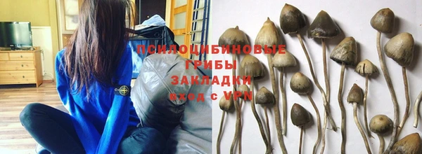 марки nbome Алексеевка