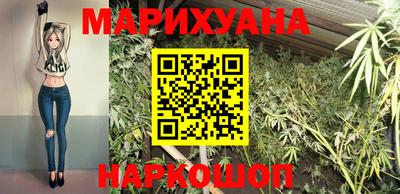 гашик Лесосибирск
