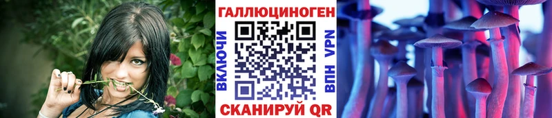 Галлюциногенные грибы Psilocybe  Губкин 