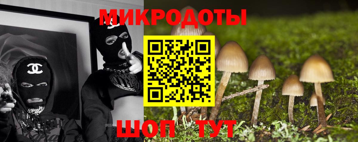 Псилоцибиновые грибы прущие грибы Губкин