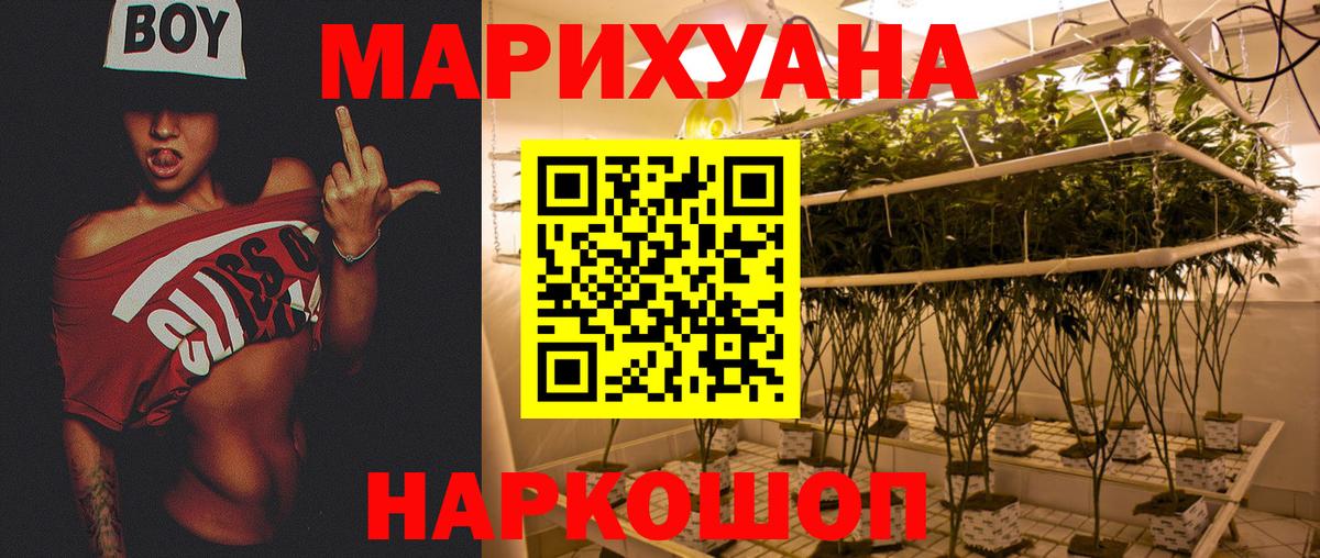 Бошки марихуана марихуана Губкин